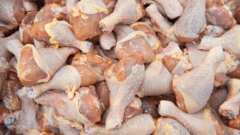 Four tonnes of illegal meat seized in Dudley raid — Dudley news photo